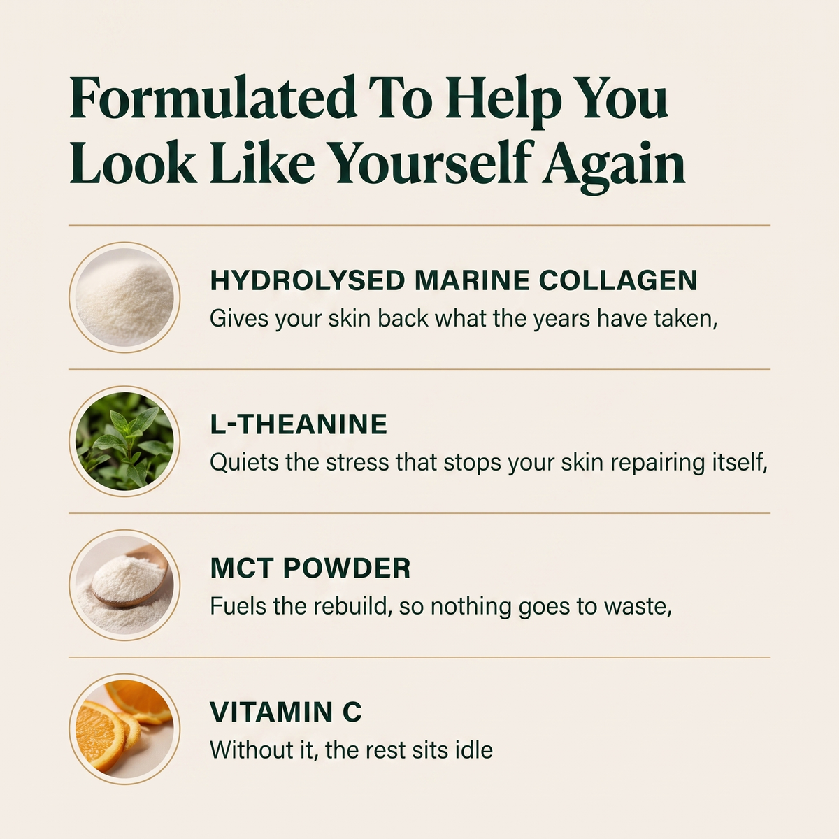 Revived - Collagen Matcha Powder