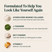 Revived - Collagen Matcha Powder